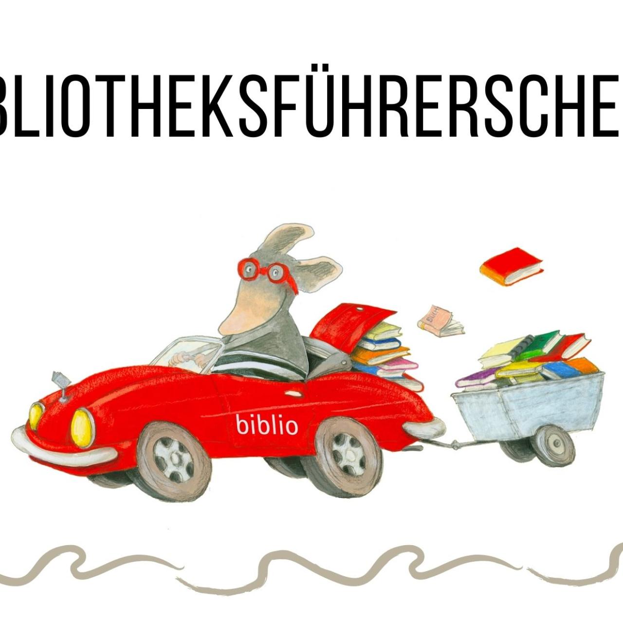 Mio Maus im Auto