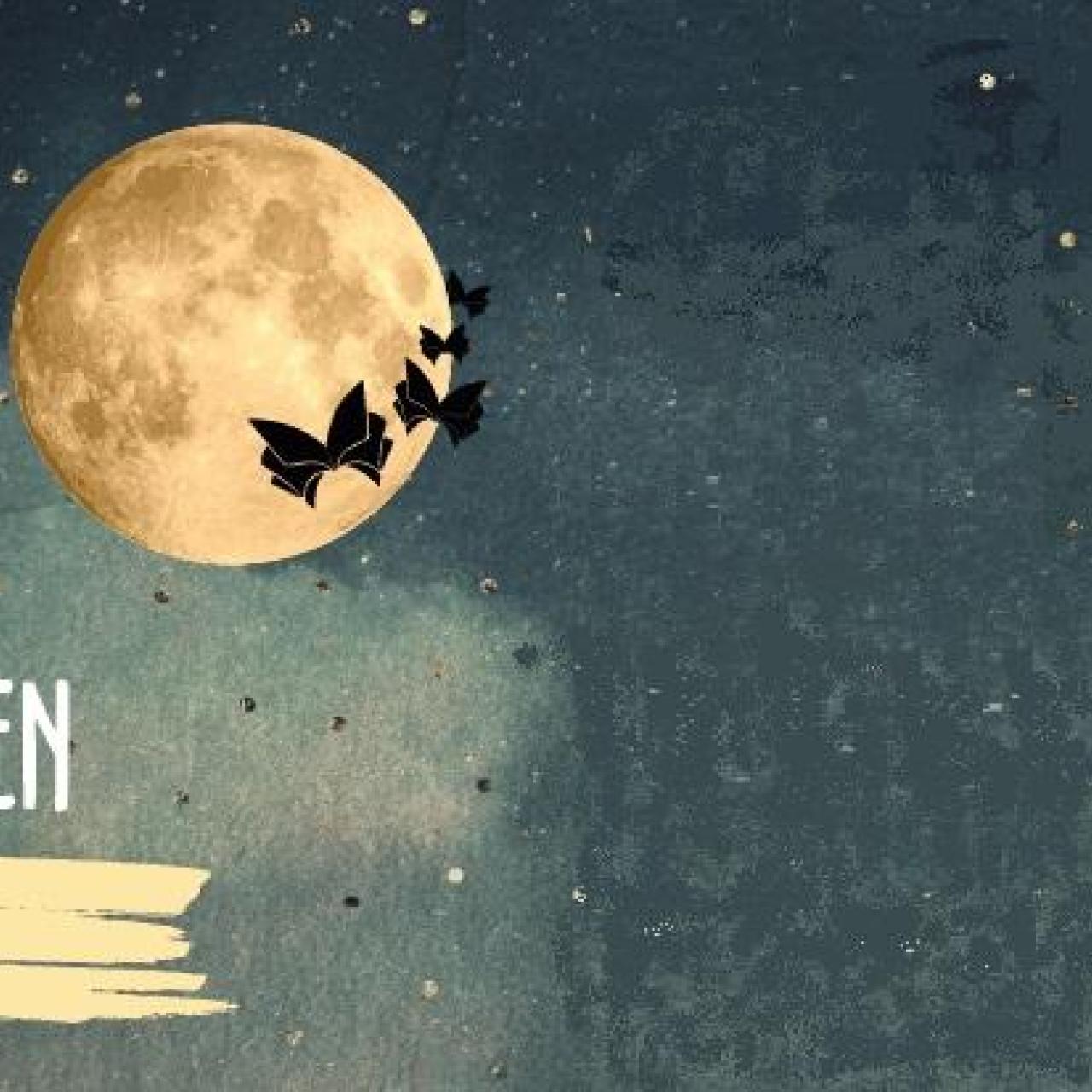 Logo Lange Nacht der Bibliotheken
